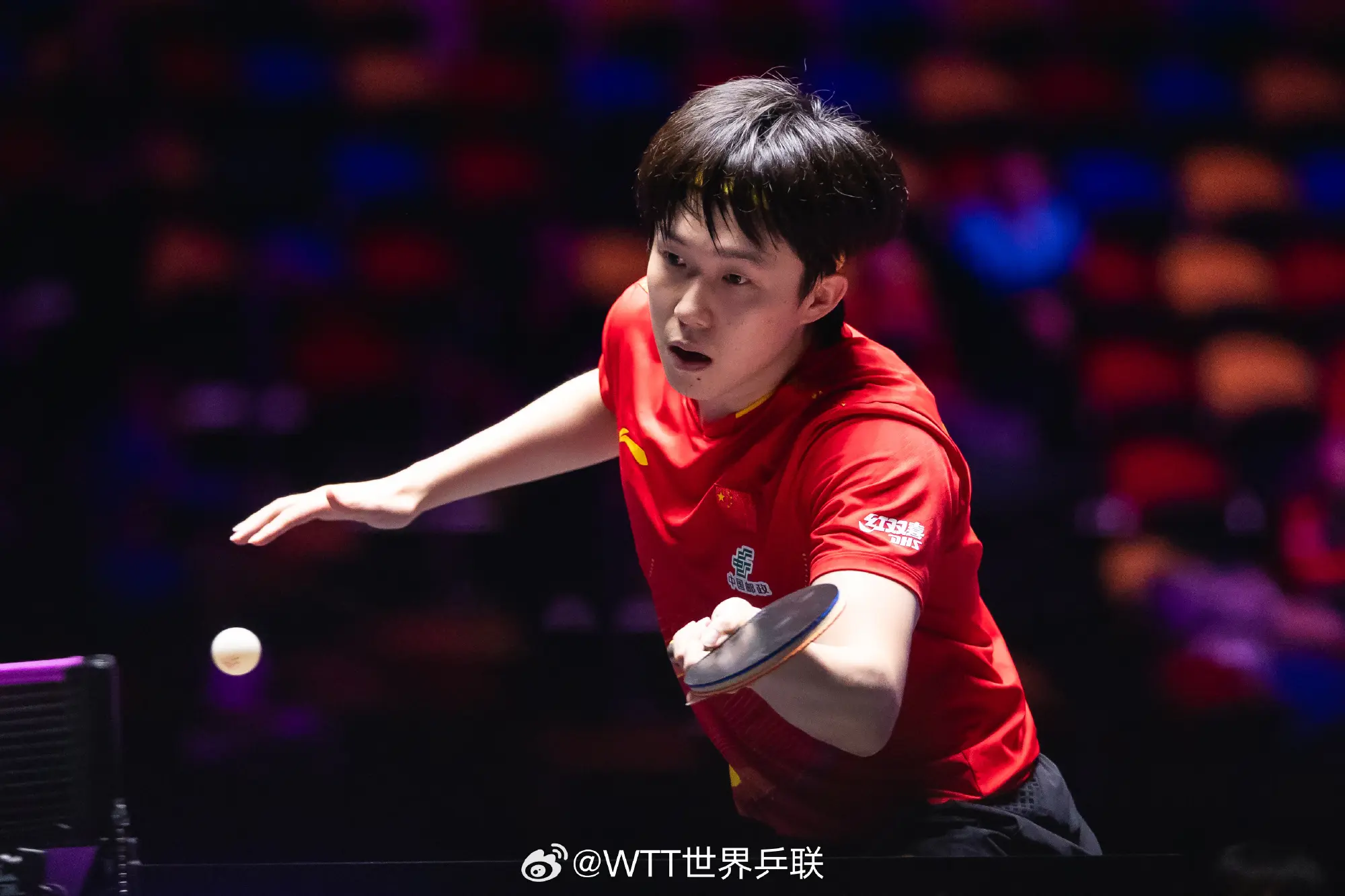 msn, 二十的选手